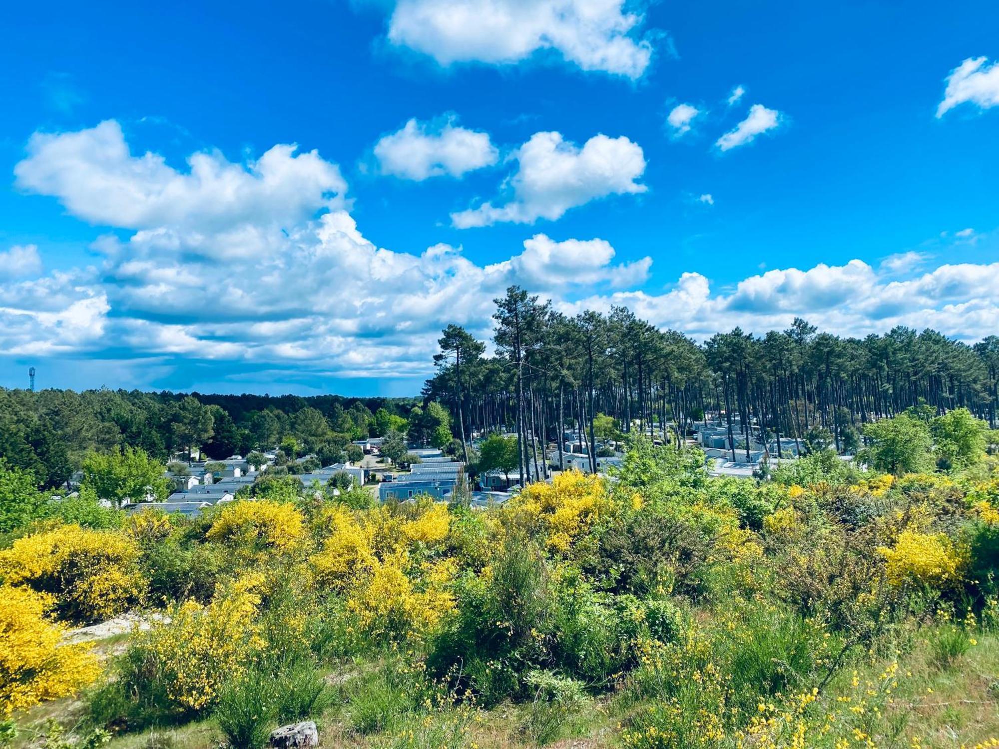 Mobile Home - Les Dunes De Contis Saint-Julien-en-Born Esterno foto