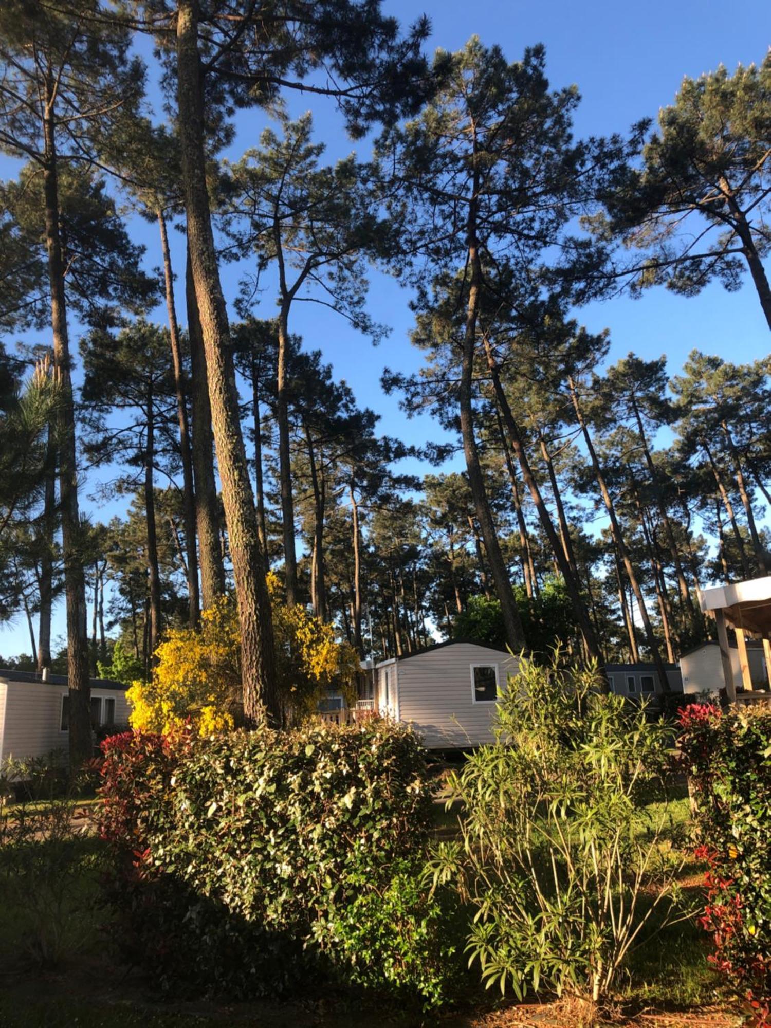 Mobile Home - Les Dunes De Contis Saint-Julien-en-Born Esterno foto